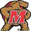 bigterp's Avatar